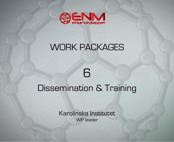 eNanoMapper Work Package 6 - Dissemination & Training